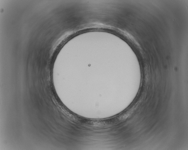 X0000060801318200512082140