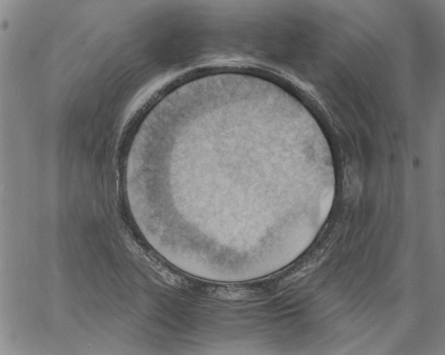 X0000060801319200512082140