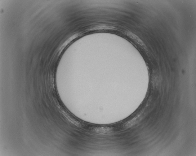 X0000060801321200512082140