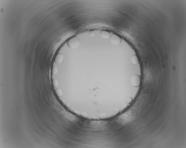 X0000060801322200512082140