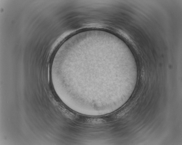 X0000060801323200512082140