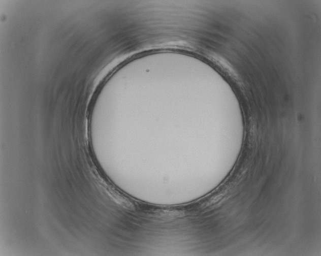 X0000060801324200512082140