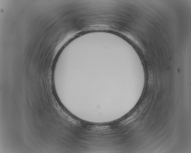 X0000060801325200512082140