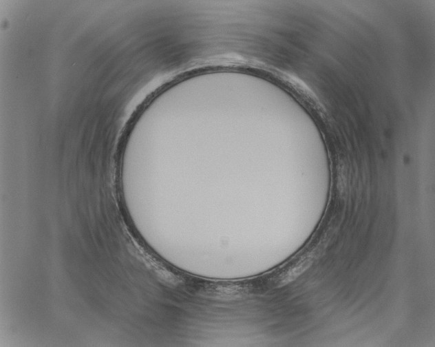 X0000060801326200512082140