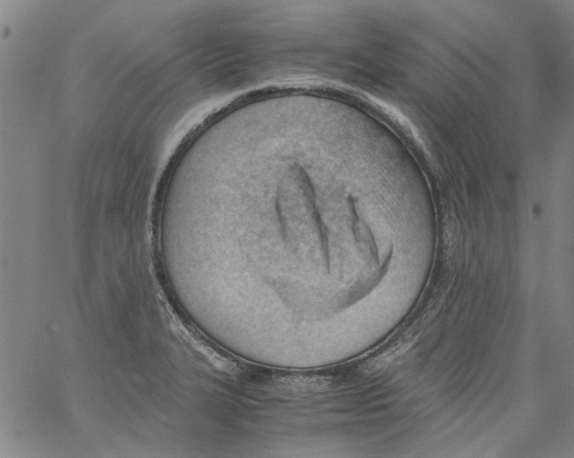 X0000060801327200512082140