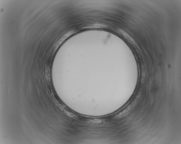 X0000060801329200512082140