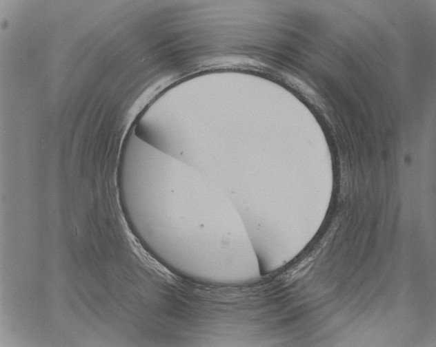 X0000060801330200512082140