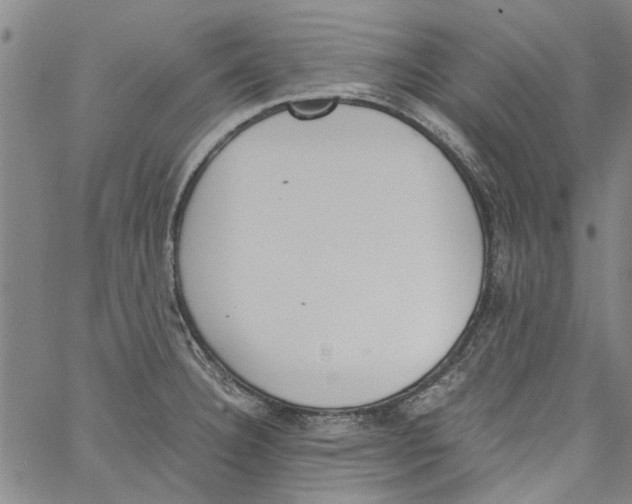 X0000060801332200512082140