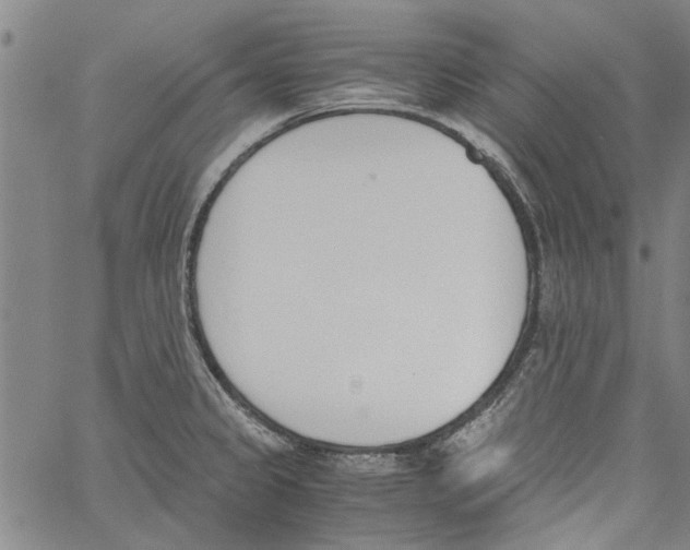 X0000060801333200512082140