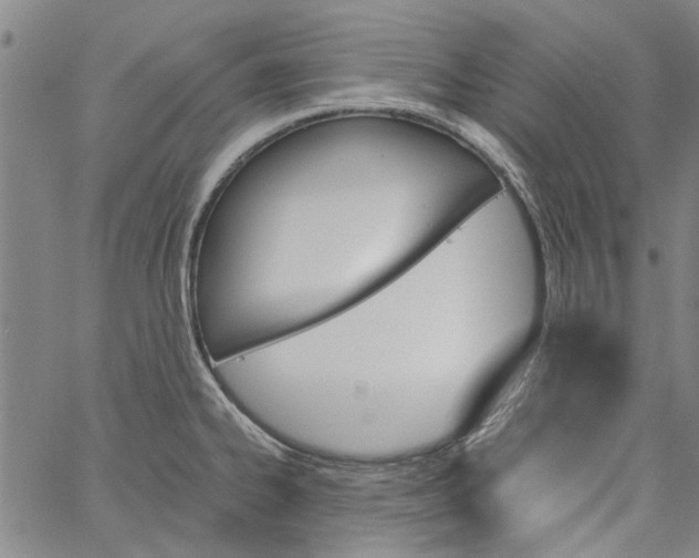 X0000060801334200512082140