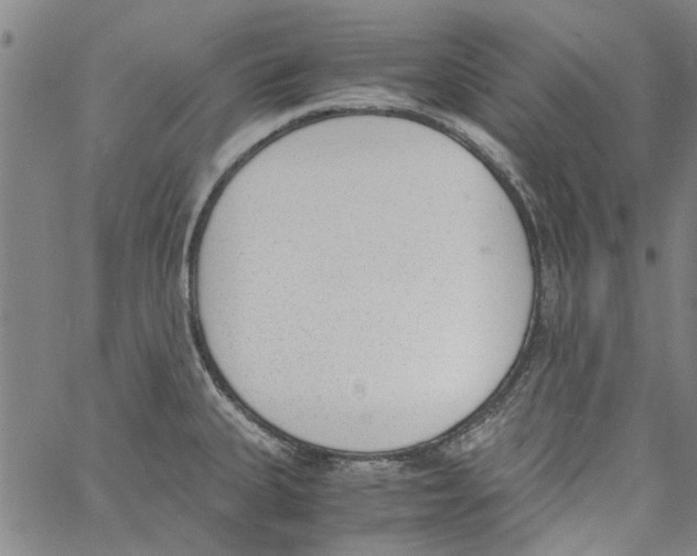 X0000060801335200512082140