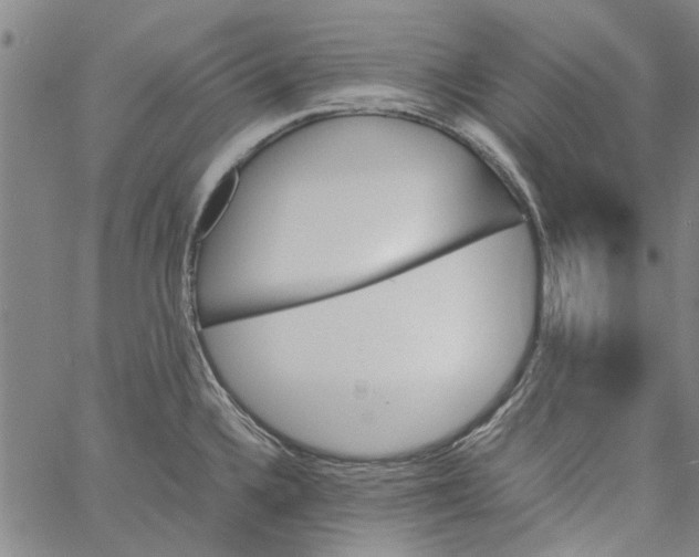 X0000060801336200512082140