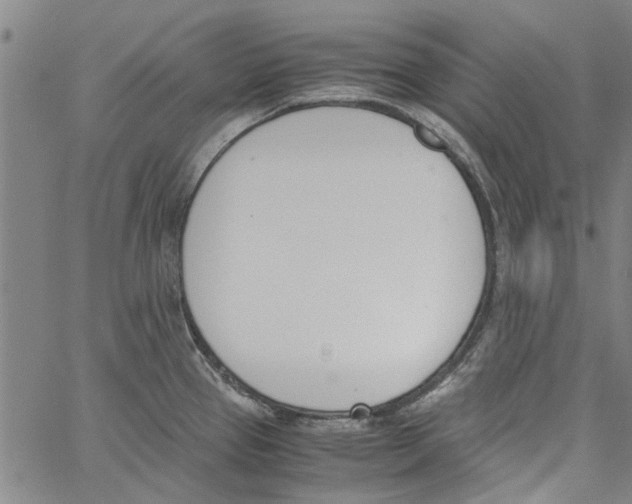 X0000060801337200512082140