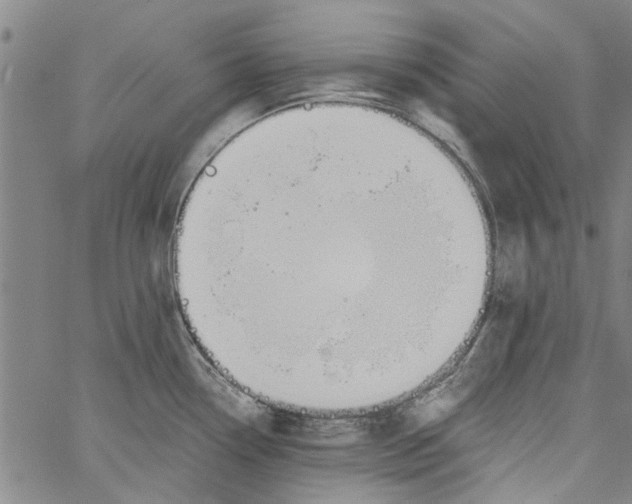 X0000060801338200512082140