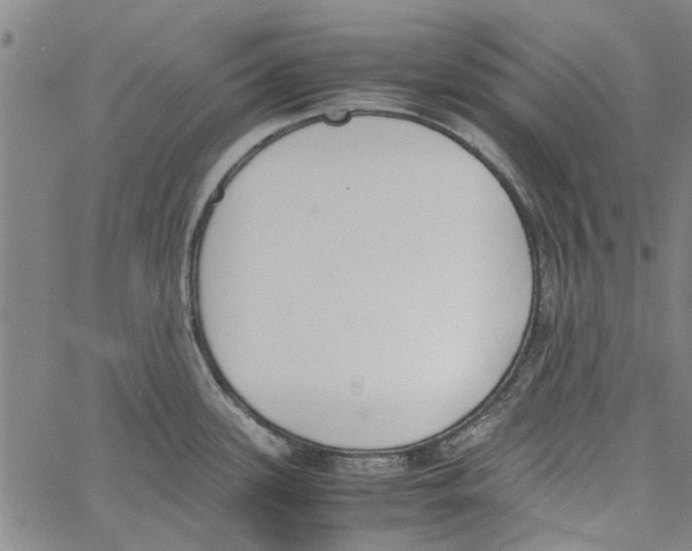 X0000060801339200512082140