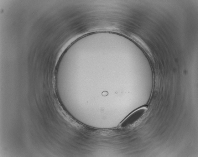 X0000060801340200512082140