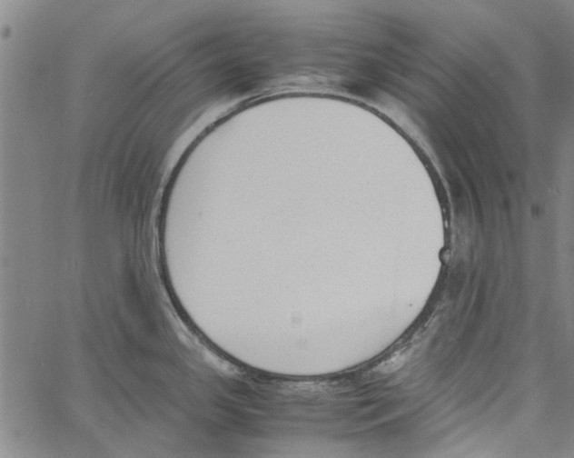 X0000060801341200512082140