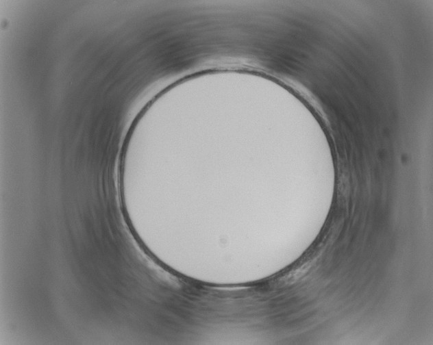 X0000060801343200512082140