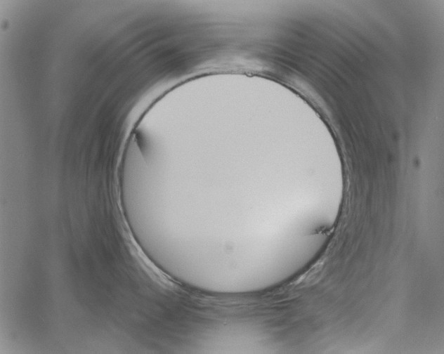 X0000060801344200512082140