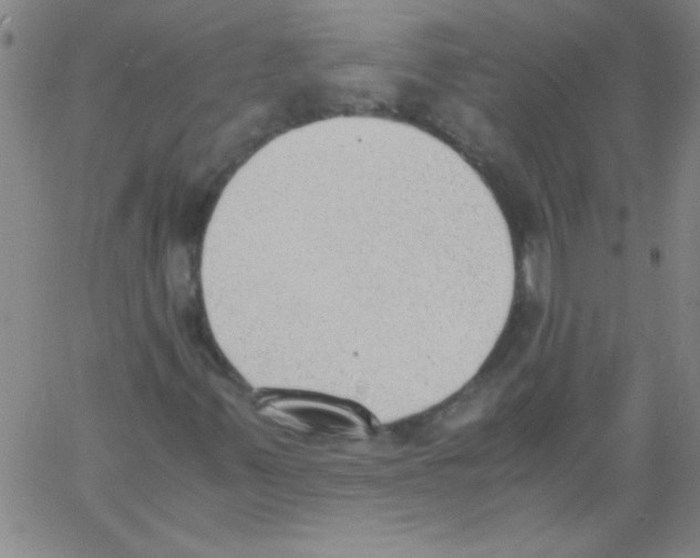 X0000060801347200512082139