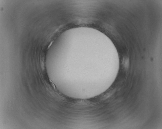 X0000060801348200512082139