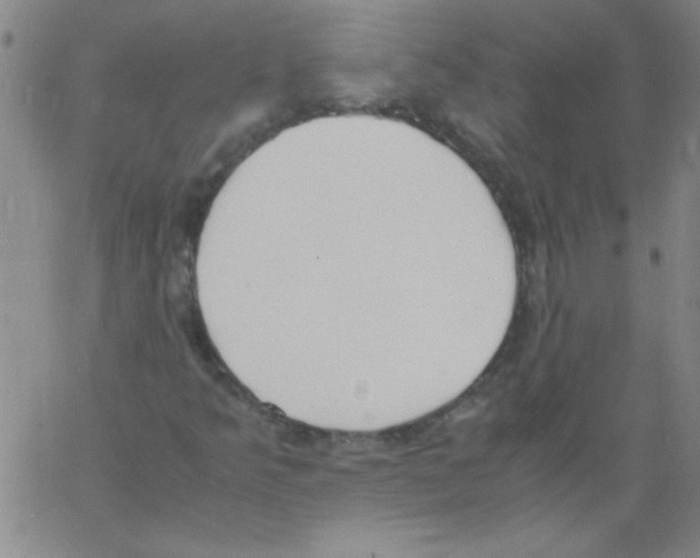 X0000060801349200512082139