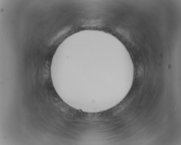 X0000060801350200512082139