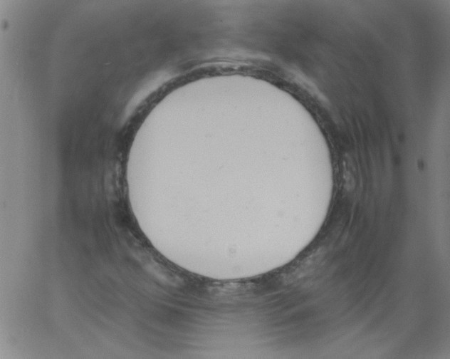 X0000060801352200512082139