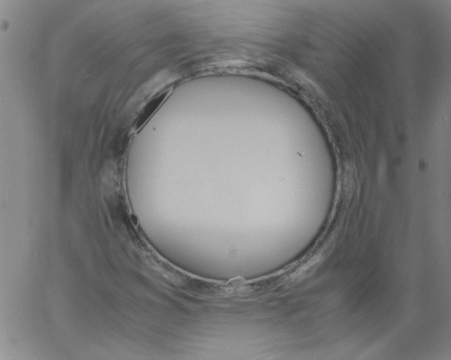 X0000060801353200512082139