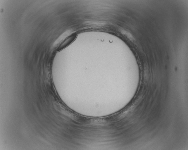 X0000060801354200512082139