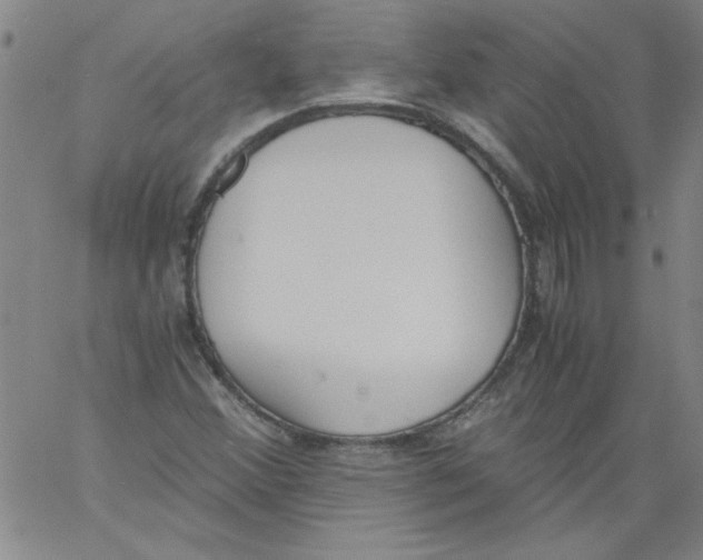 X0000060801356200512082139