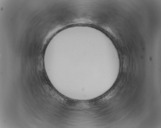 X0000060801358200512082139