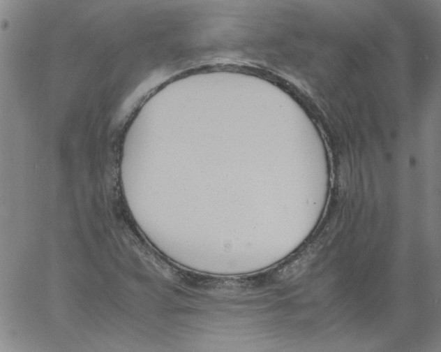 X0000060801359200512082139