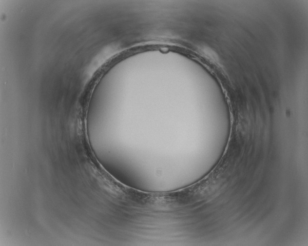 X0000060801360200512082139