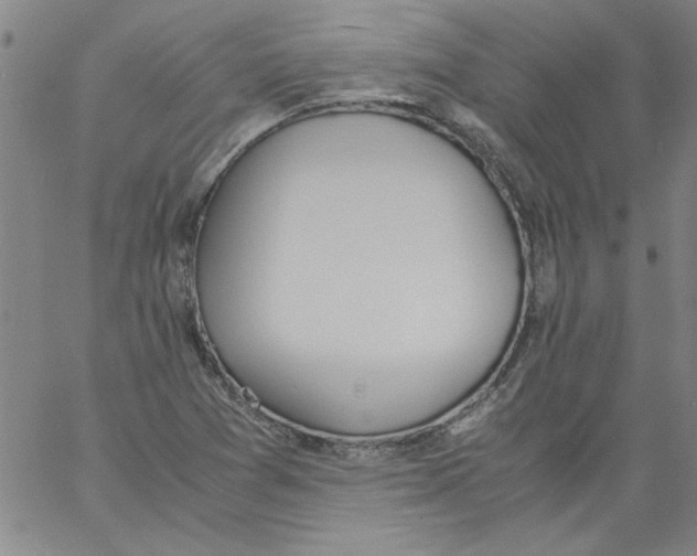 X0000060801361200512082139