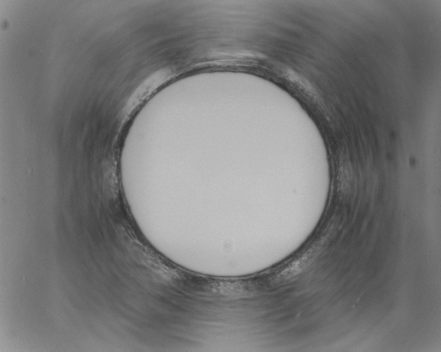 X0000060801362200512082139