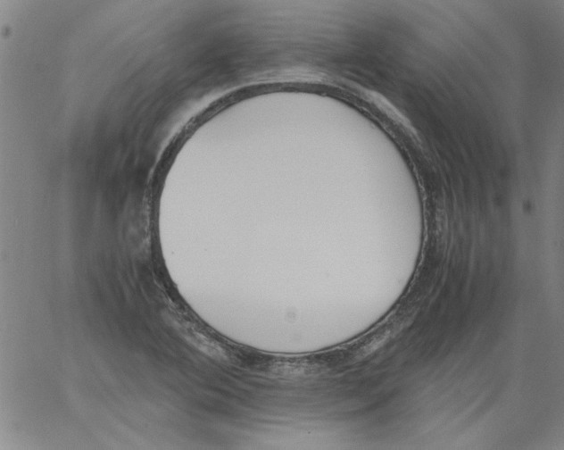 X0000060801364200512082139