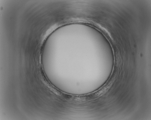 X0000060801365200512082139