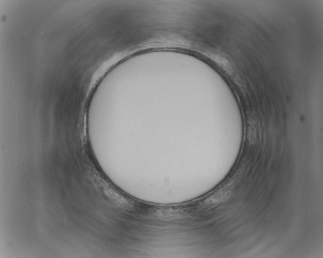 X0000060801366200512082139