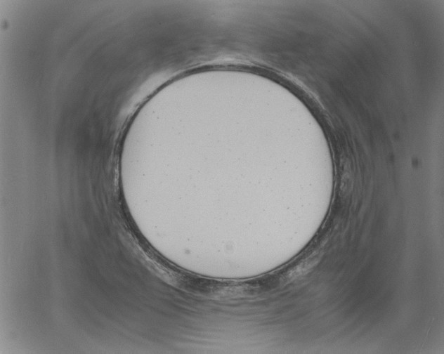 X0000060801367200512082139