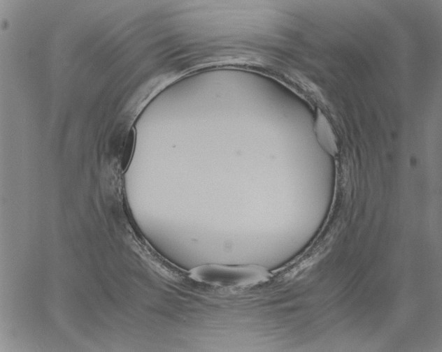 X0000060801369200512082139