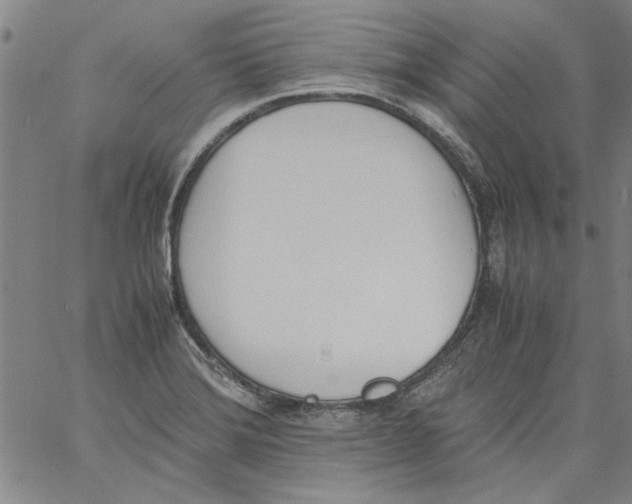 X0000060801372200512082139