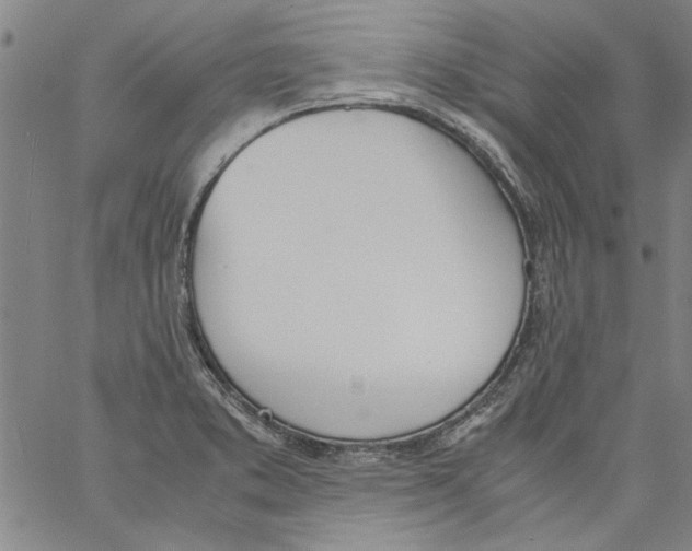 X0000060801373200512082139