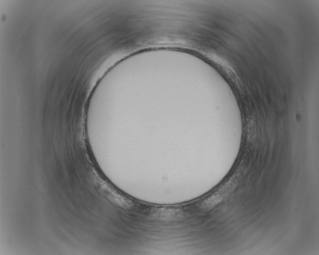 X0000060801374200512082139