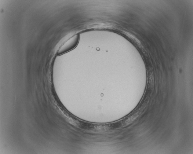 X0000060801375200512082139