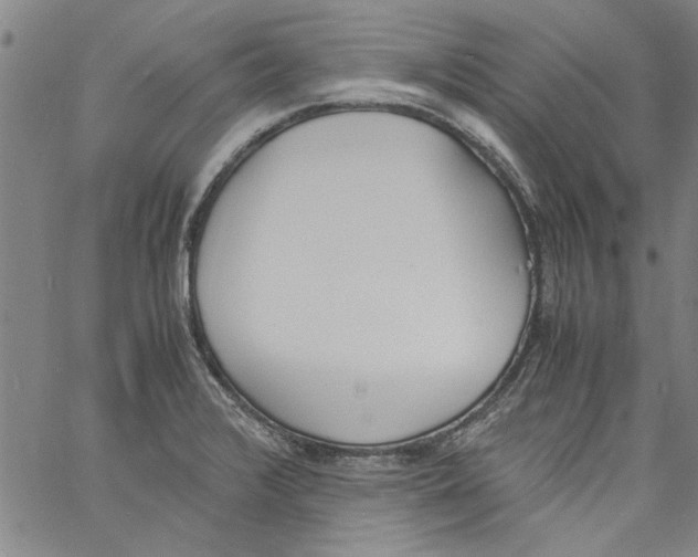 X0000060801376200512082139