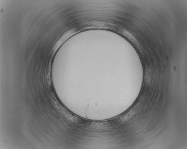 X0000060801378200512082139