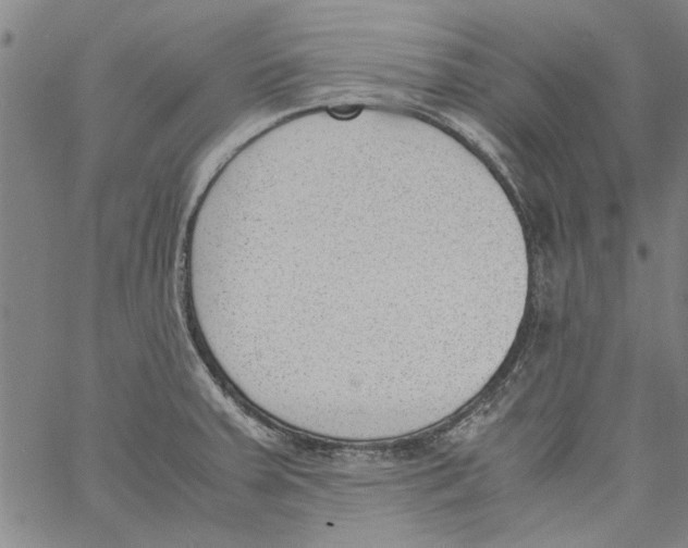 X0000060801379200512082139