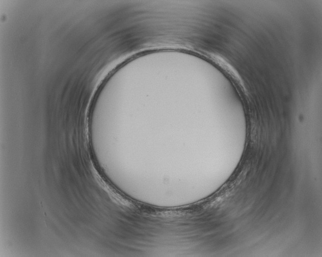 X0000060801380200512082139