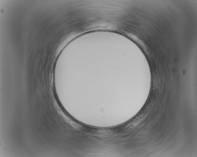 X0000060801383200512082139